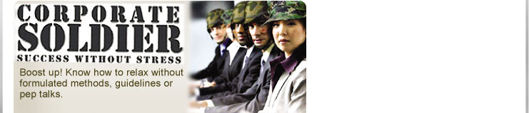 Corporate Soldier. Success without stress. Cope with stress in a  high performance culture of an organisation.